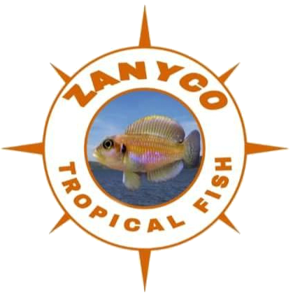 Logo zanyco tropical fish