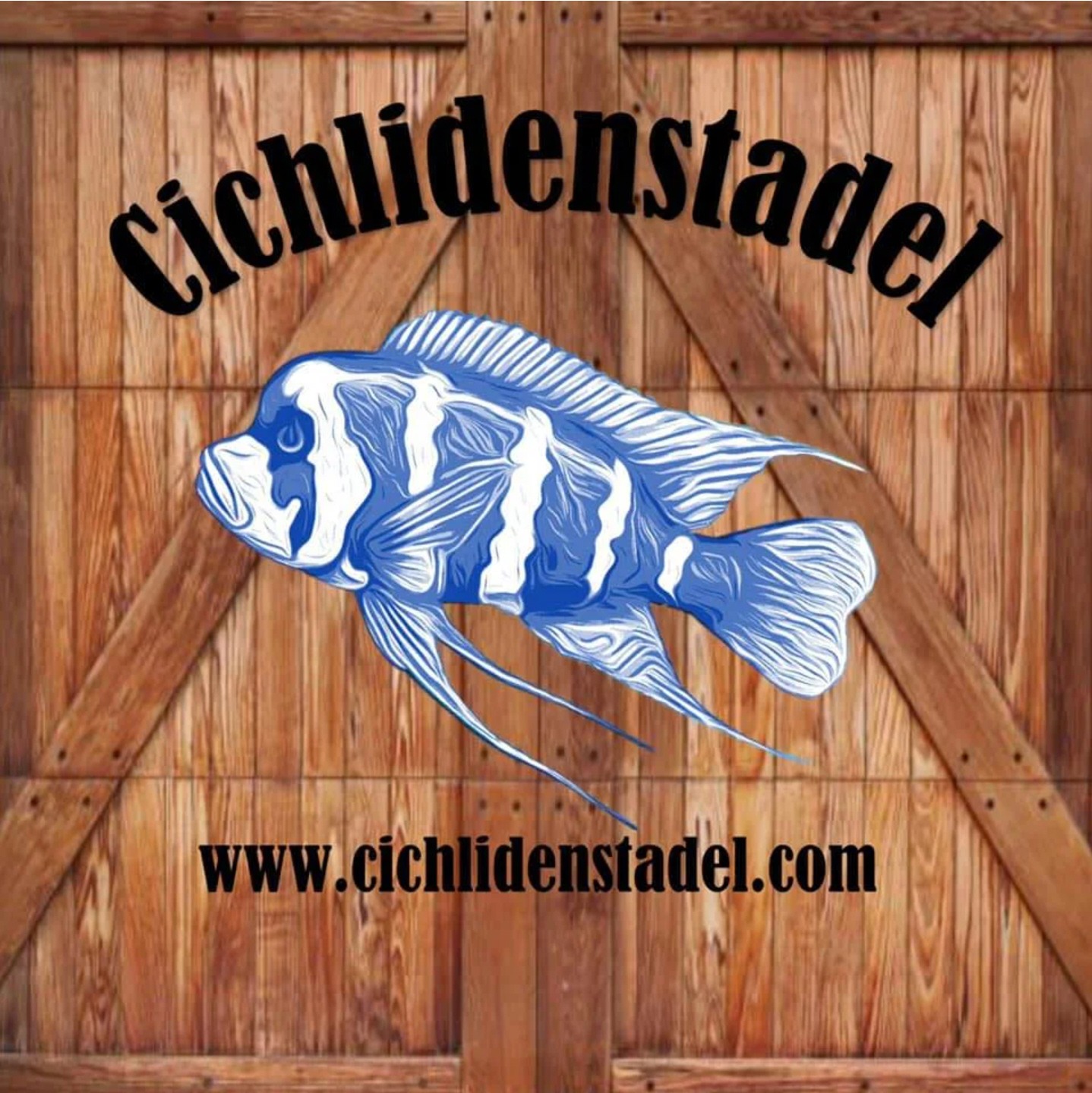 cichlidenstadel