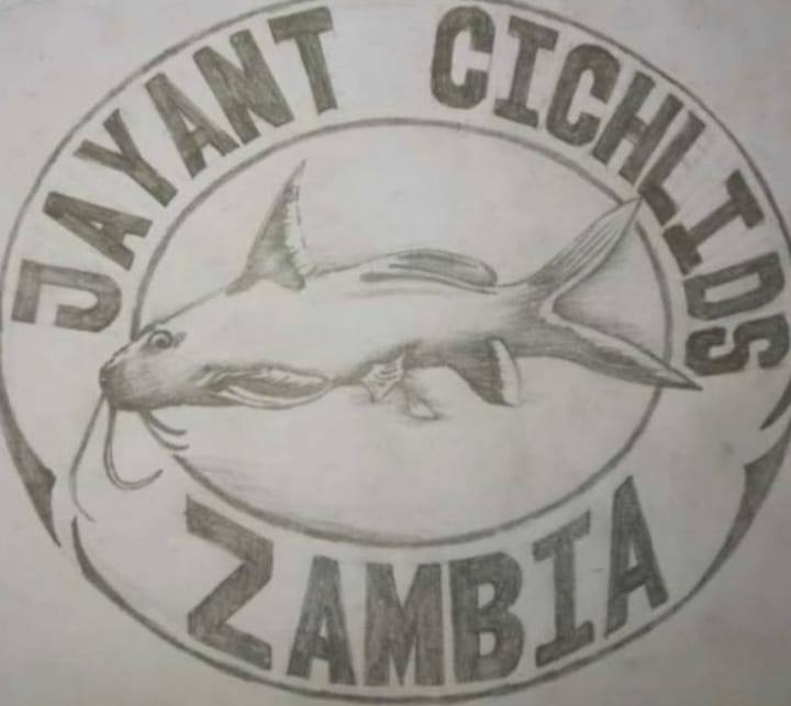 Logo jayant cichlids zambia2