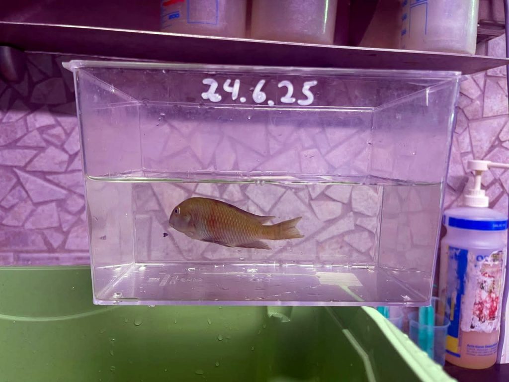 za3