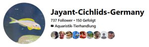 facebook jayant cichlids